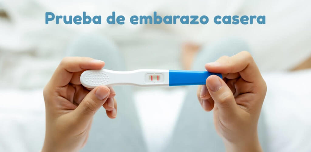 ¿Cómo funcionan las pruebas de embarazo caseras? – MomMom