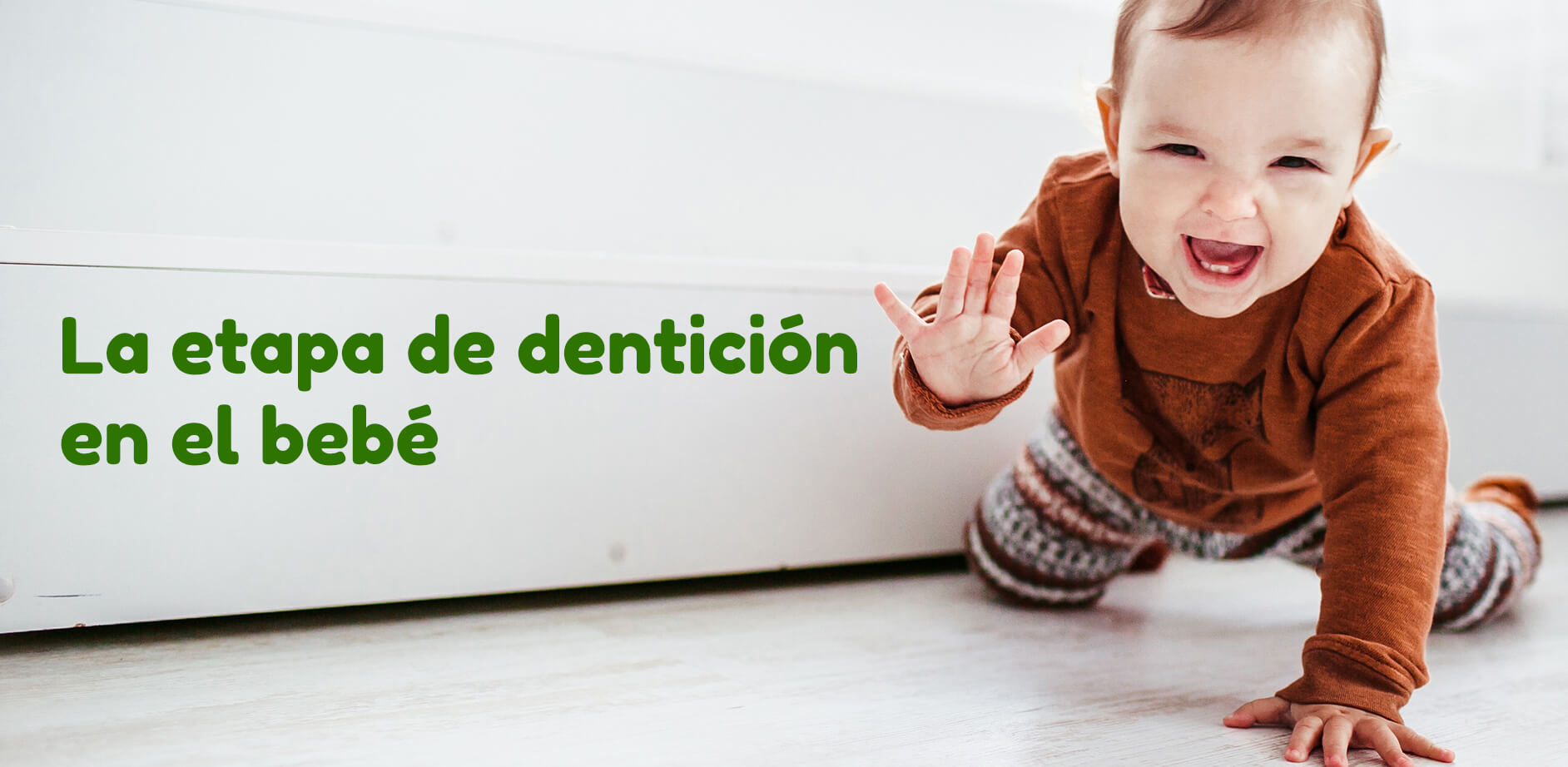 La-etapa-de-denticion-dientes-en-el-bebe