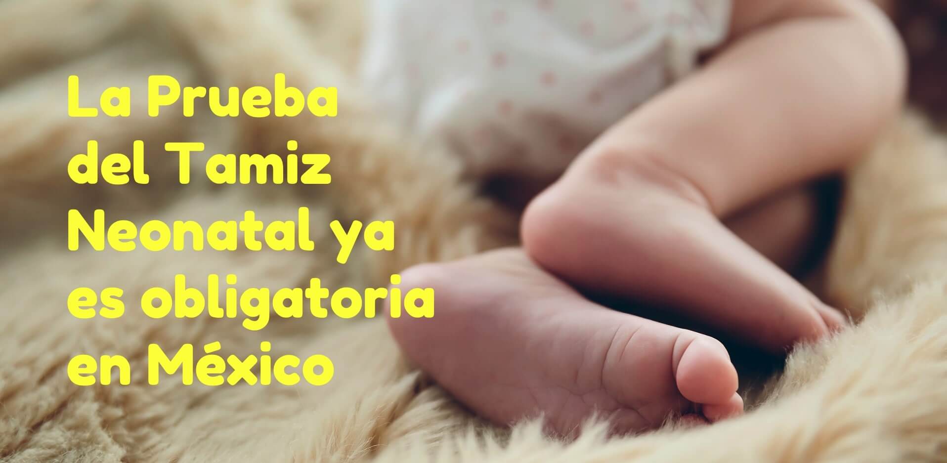 Prueba de Tamiz Neonatal OBLIGATORIO por Ley en México Cover